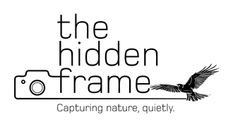 Logo with the words