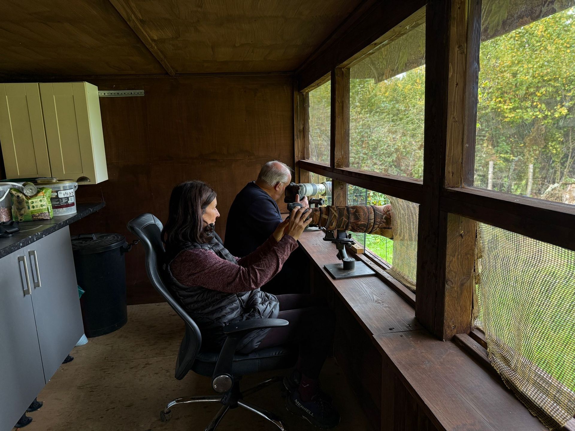 Two people sit in a wooden wildlife hide, observing through a large window overlooking a forest.