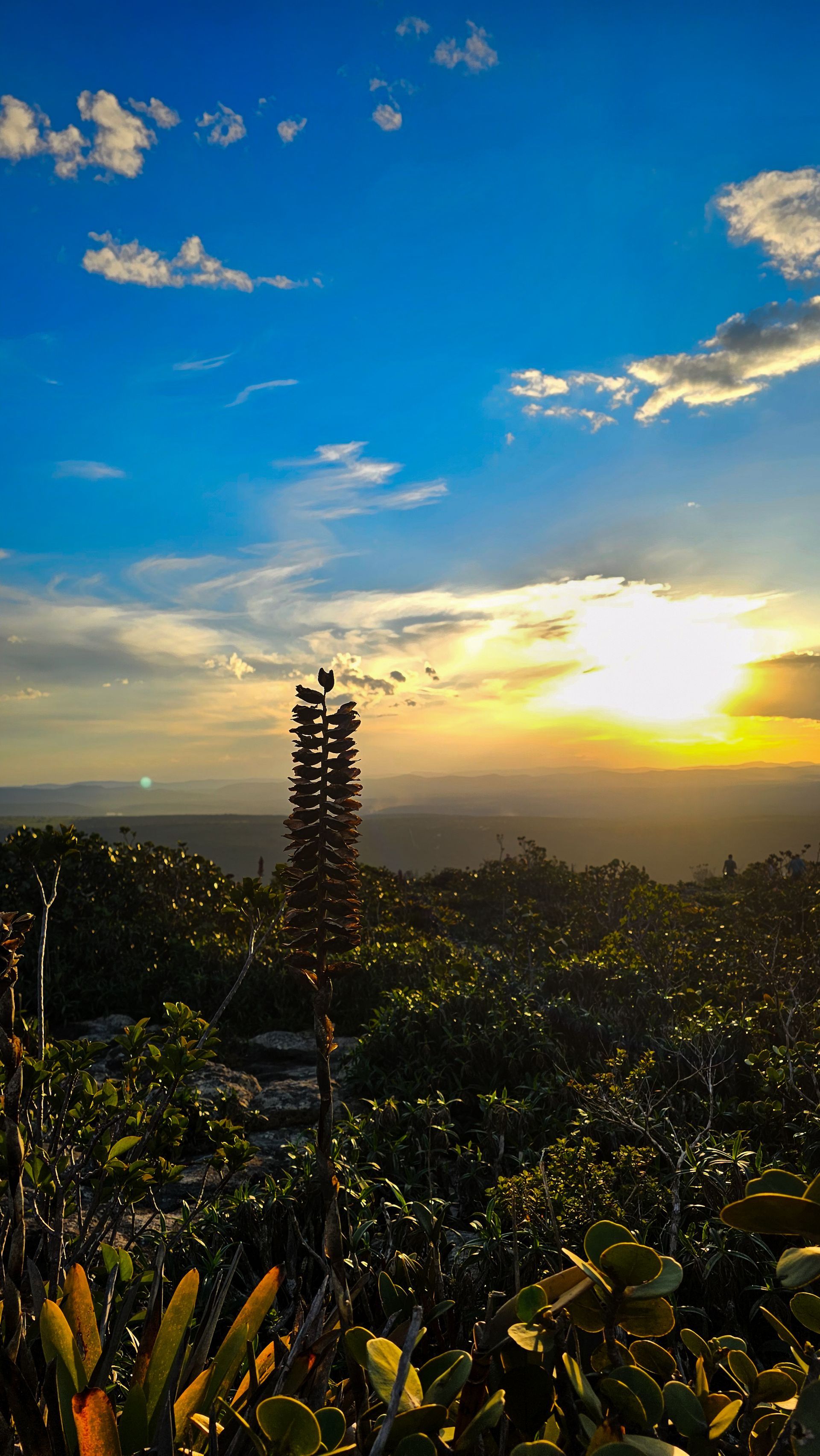 Nascer do sol sobre colinas verdejantes e árvores sob um céu azul com nuvens dispersas.