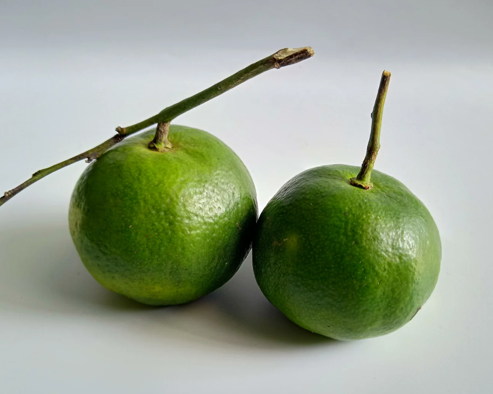 Natuurlijke veldsmaak