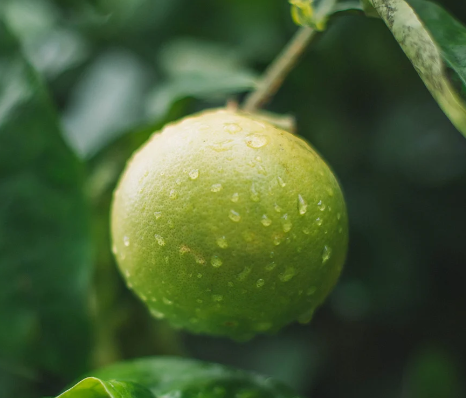 Mountain Dew met natuurlijke limoensmaak