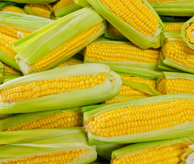 Natuurlijke zoete maïssmaak