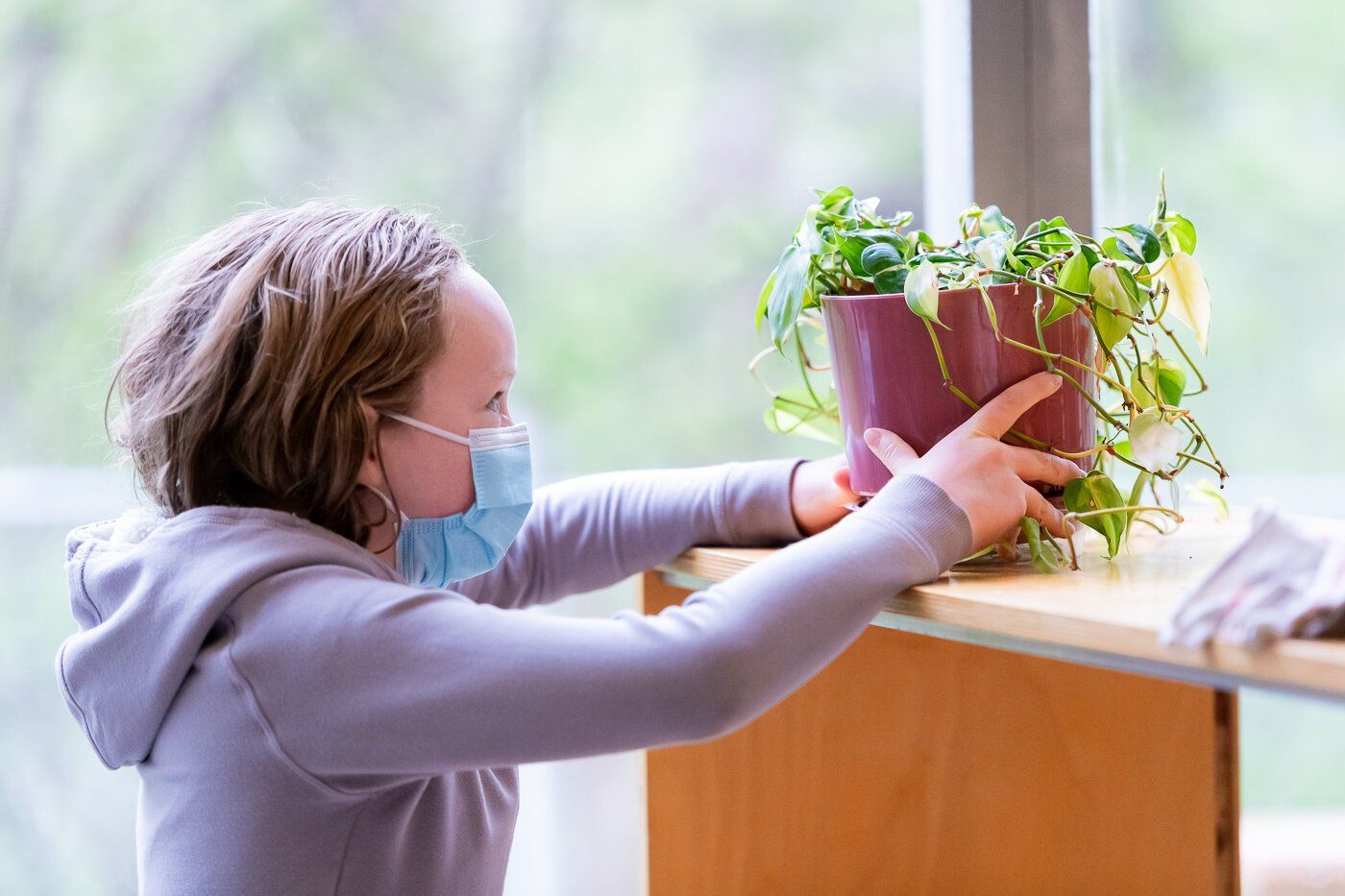 Montessori child wearing a mask placing a potted plant on a windowsill indoors