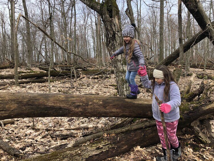 Two Montessori children in winter clothes crossing fallen logs in a leaf-covered forest