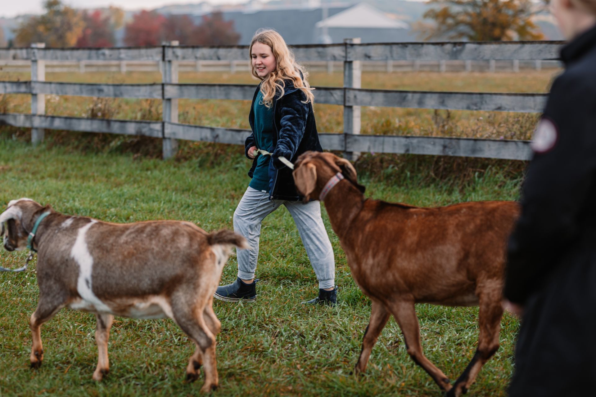 Montessori middle school student with goats