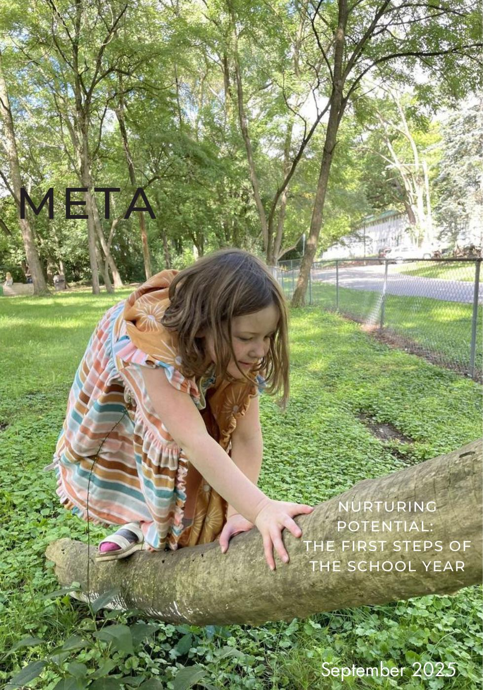 Montessori child in a colorful dress balancing on a log in a grassy park with trees and sunlight.