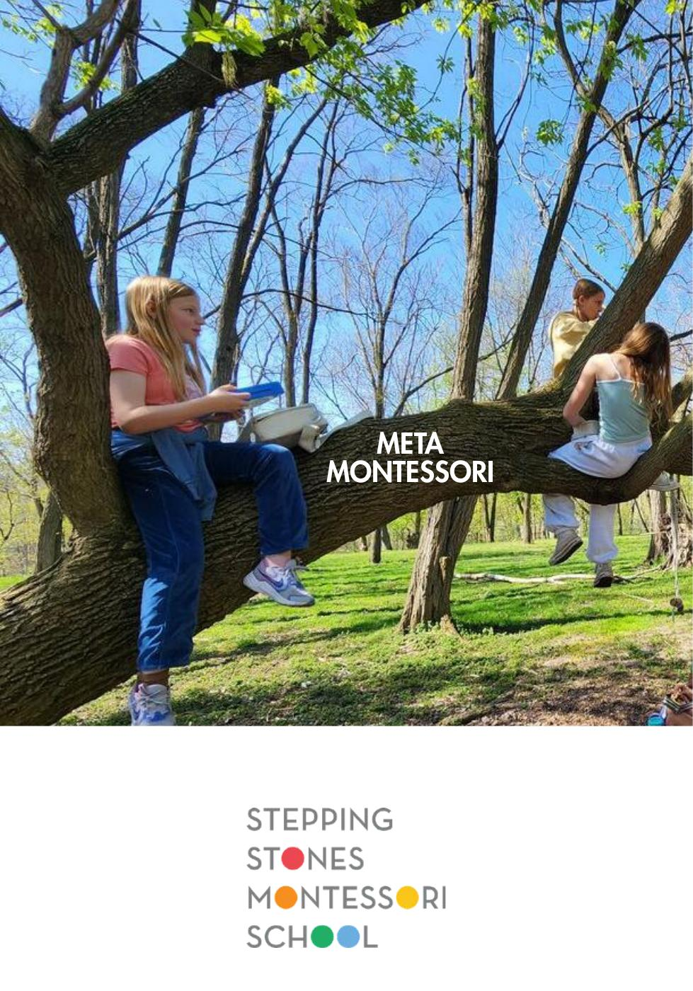 Montessori children on a tree swing outdoors with Meta Montessori and Stepping Stones Montessori School logos