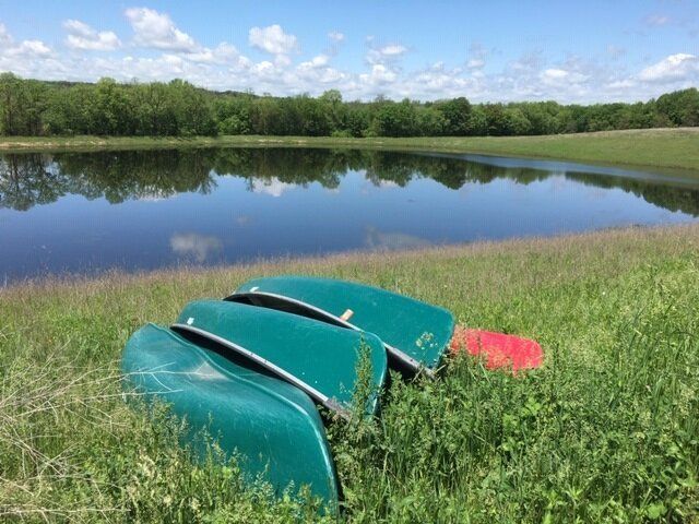 Three overturned canoes on grass beside a calm lake with trees reflecting in the water