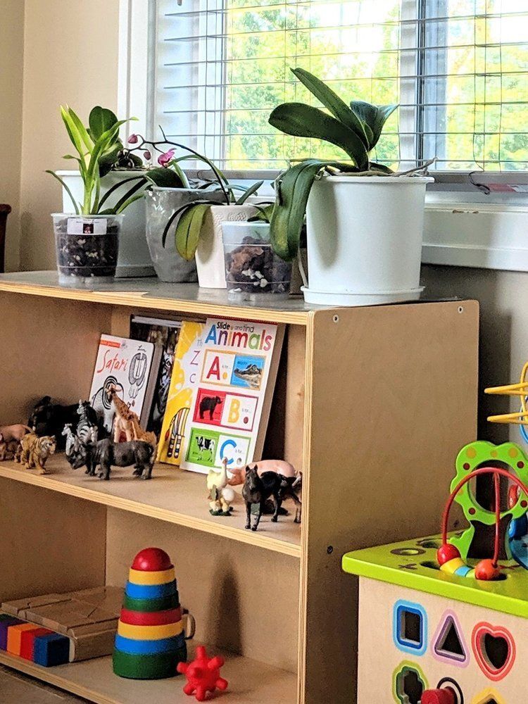 Close up of toy shelf for offering choices