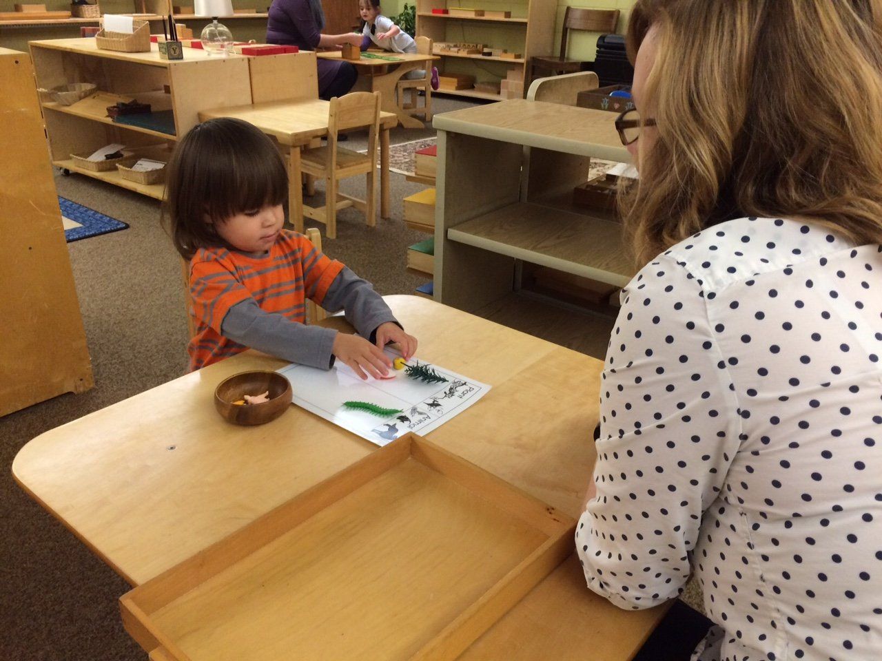 Montessori guide and child working in the classroom