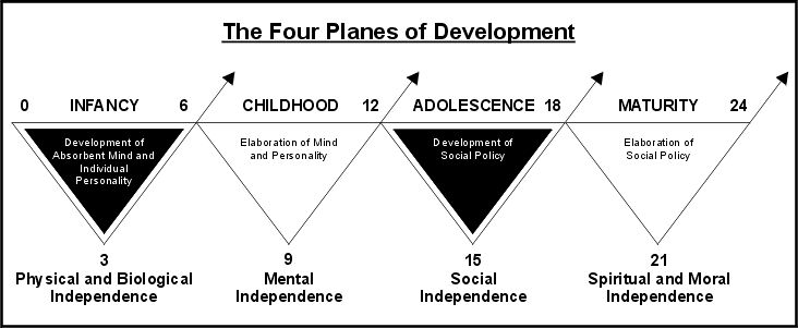The four planes of development diagram