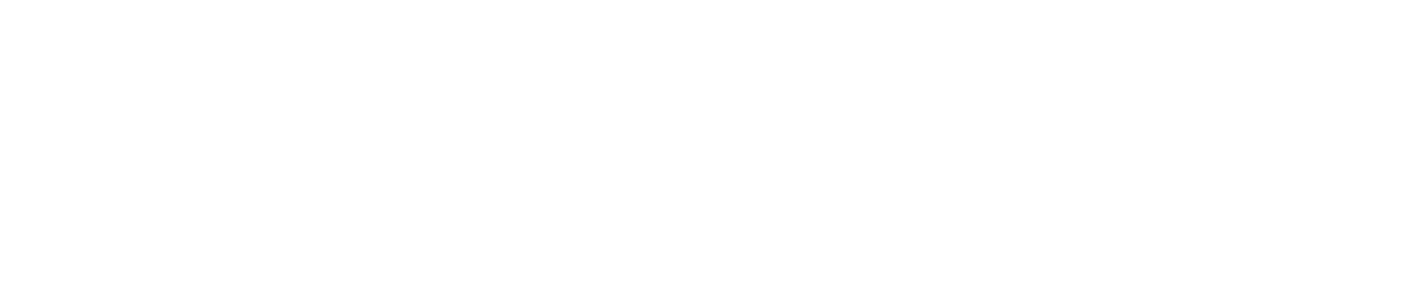 Maine Employer's Mutual Insurance Corp. logo