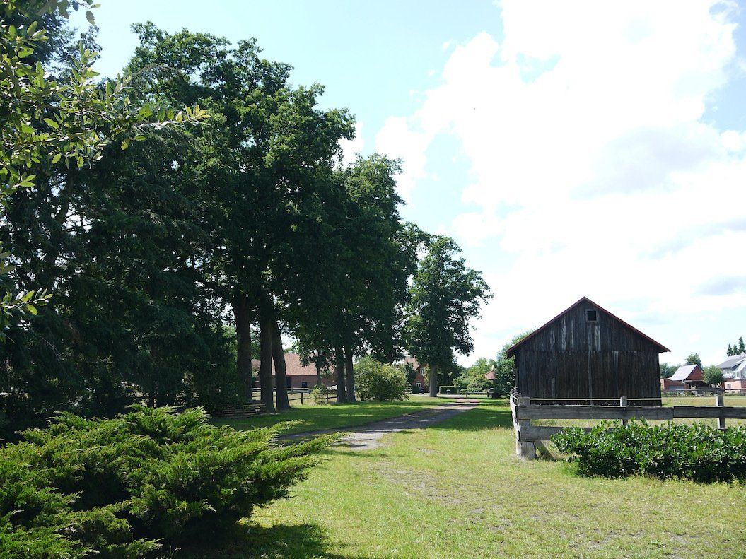 Grasbewachsener Hof mit Bäumen und Holzschuppen unter sonnigem Himmel.