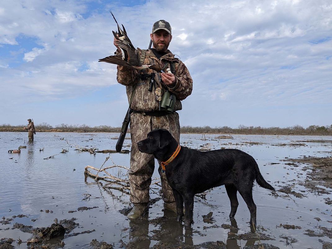 Labrador Retrievers | Hunting | Waterfowl Labrador Retrievers | Hunting | Waterfowl