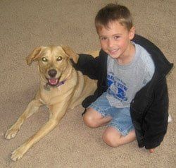 Miley And Boy — Saint Charles, MO — Positive Paws Pet Training Inc.