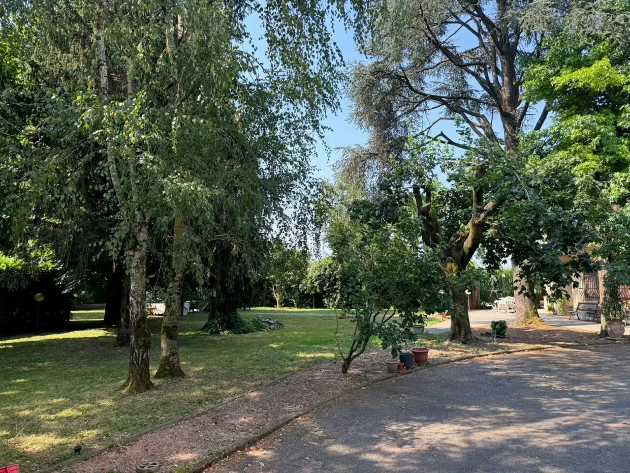 Parco ombreggiato con grandi alberi, un sentiero sterrato e una piccola area con panchine sotto un cielo luminoso.