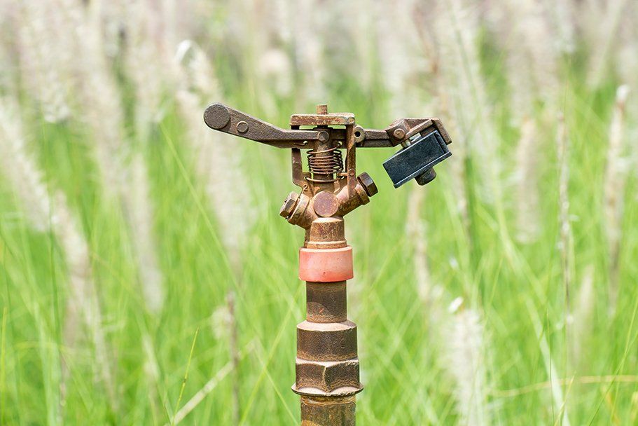signs you need sprinkler system repair services
