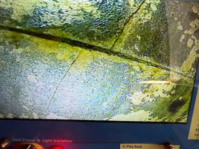 Abstract close-up of a mossy green and blue textured surface on a screen with UI text along the bottom