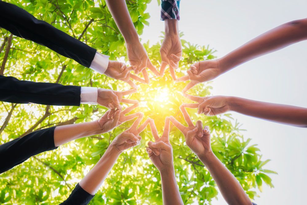 Hands in a circle reaching toward a bright sun through green leaves, symbolizing teamwork and unity