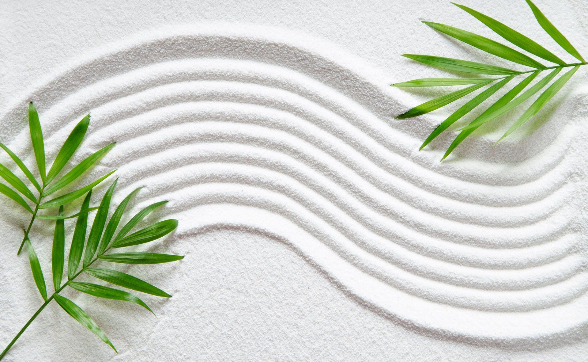 Two green leaves are sitting on top of a white sandy surface.