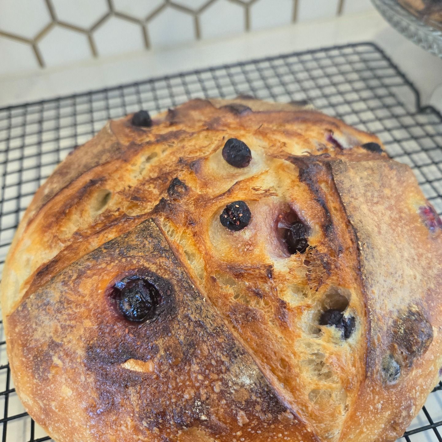 Round rustic loaf of bread with dark berries, cooling on a wire rack