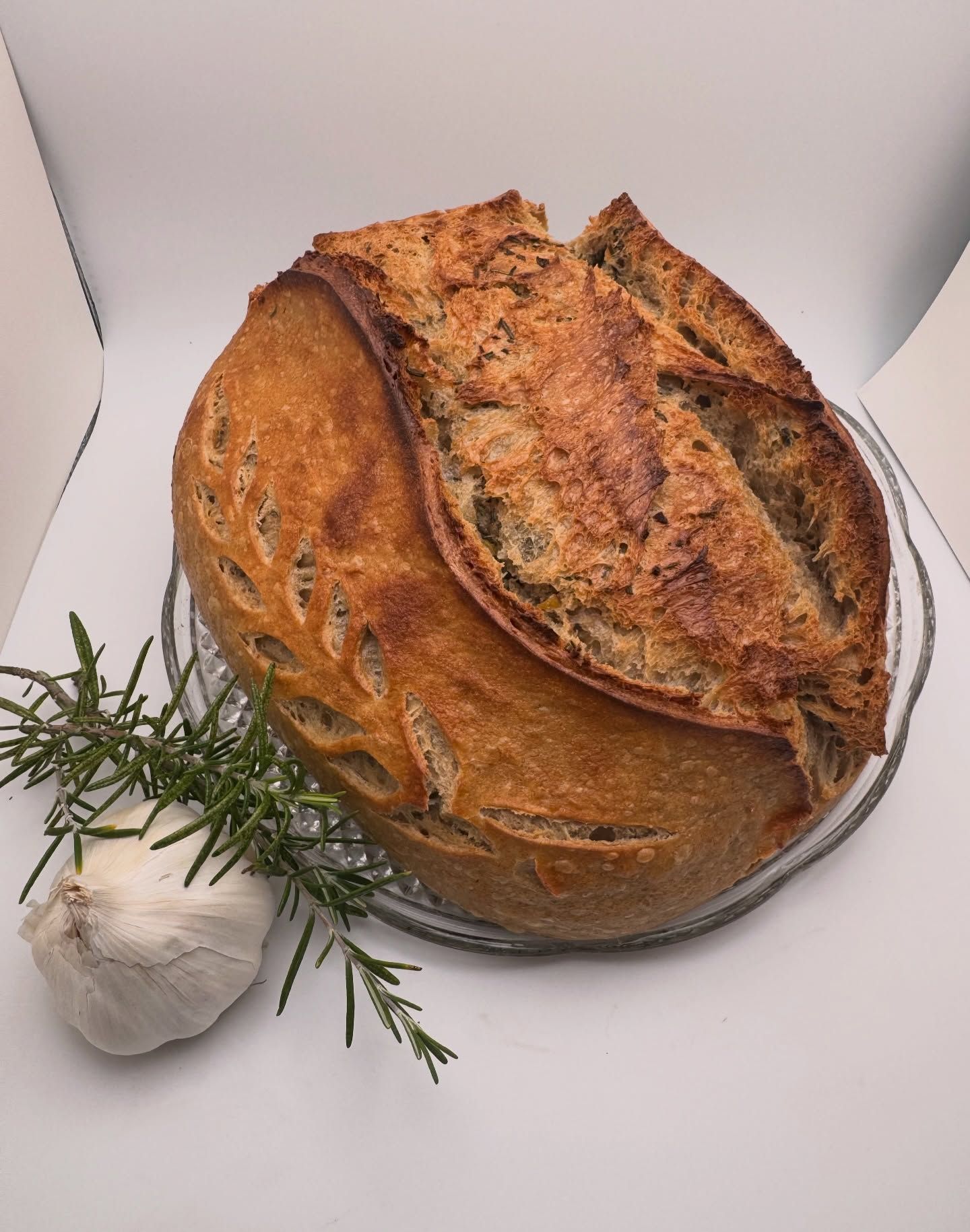 Rustic loaf of bread with rosemary and garlic on a white backdrop