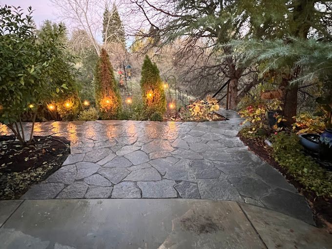 A stone walkway leading to a garden with trees and lights.