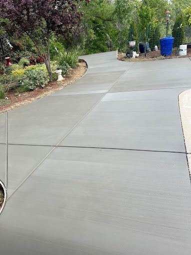 A concrete driveway with a lot of plants on the side of it.