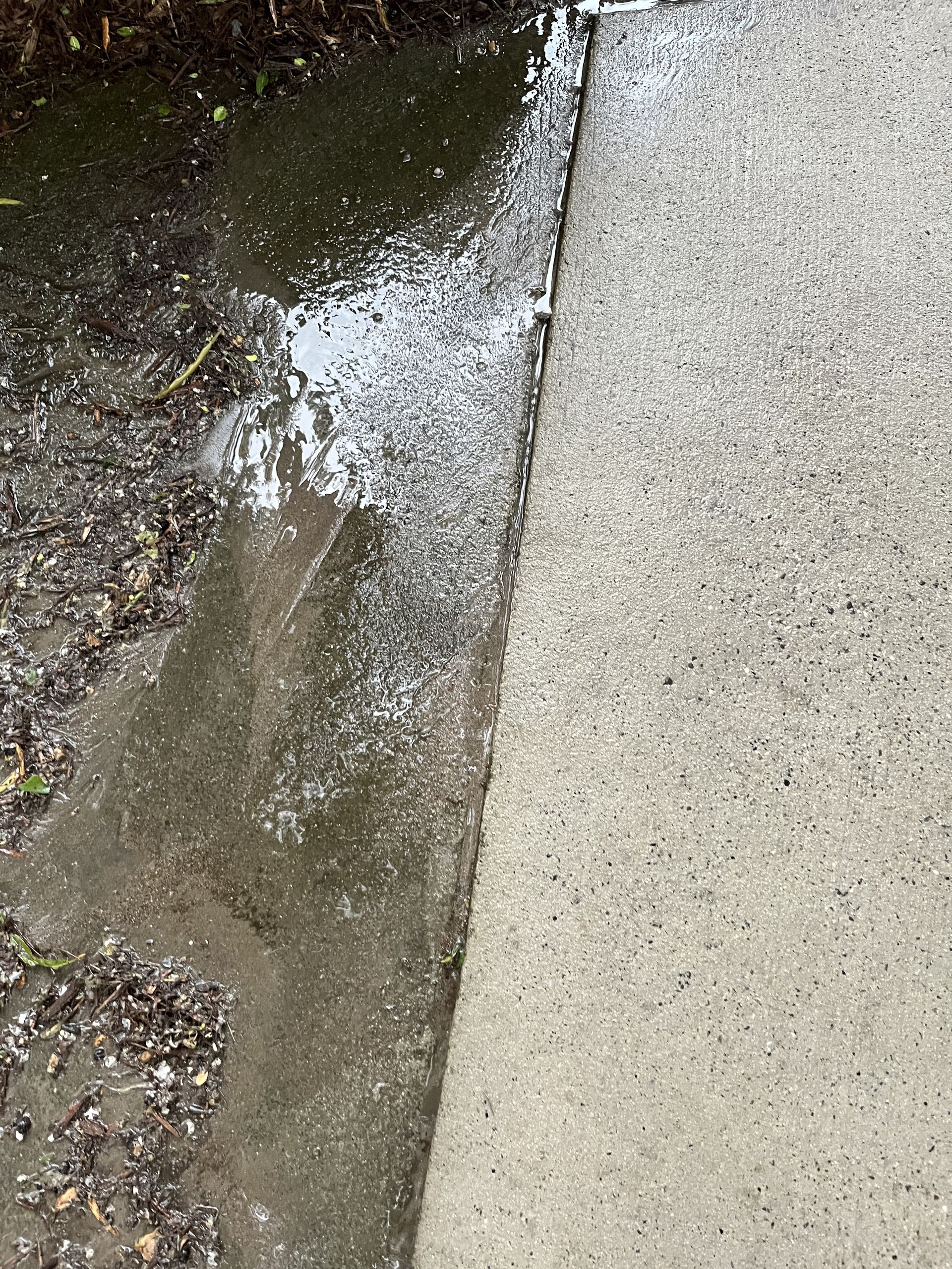 A concrete sidewalk with a puddle of water on it.