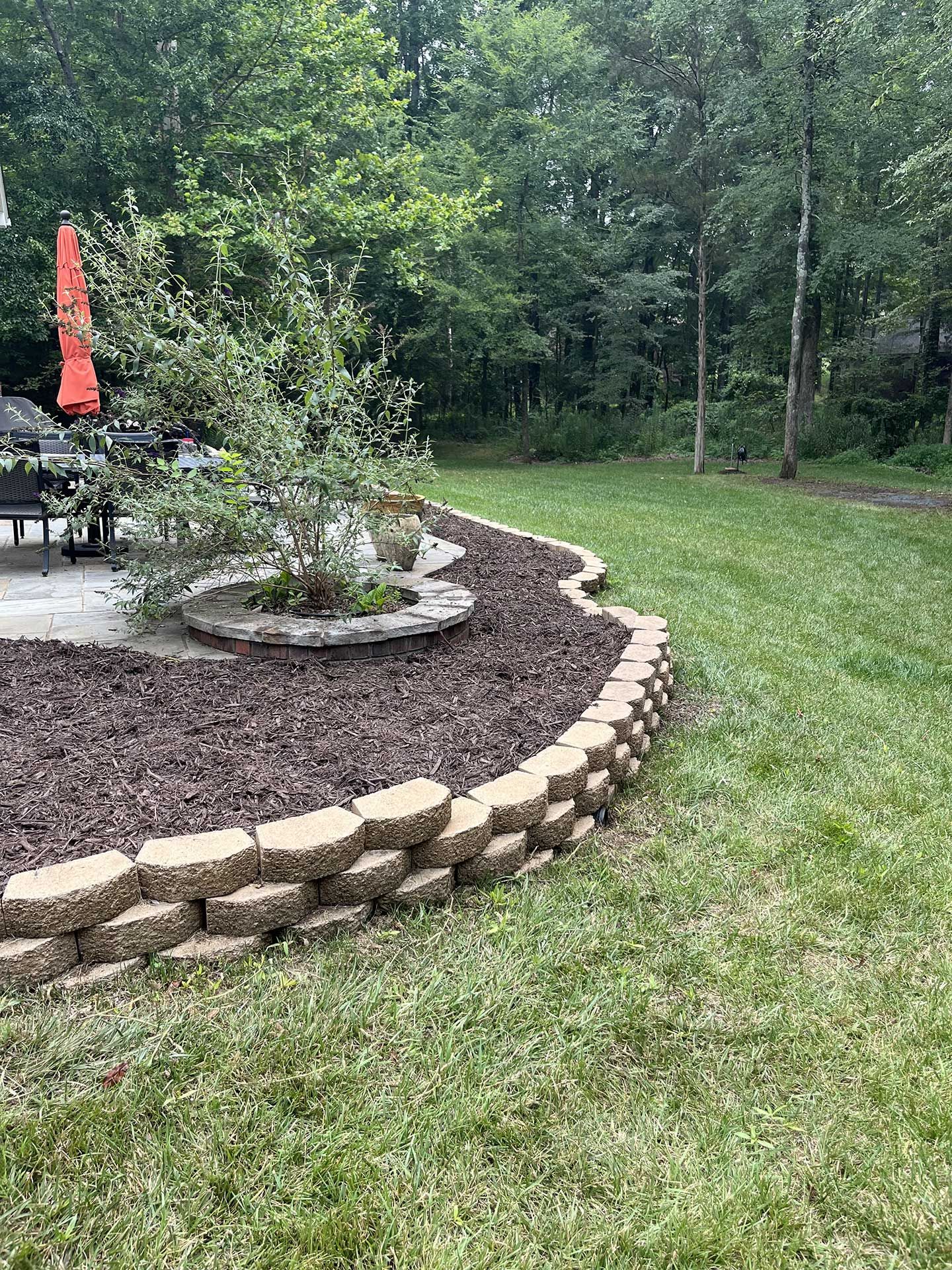 A lush green lawn with a stone wall and a fire pit in the middle of it.