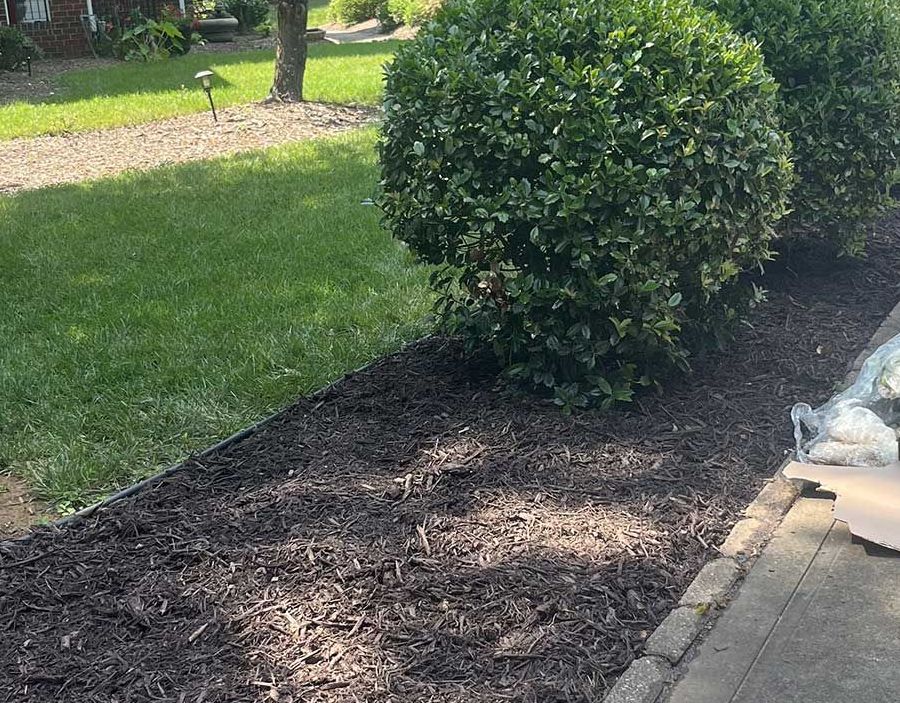 There is a bag of mulch in the middle of the yard.