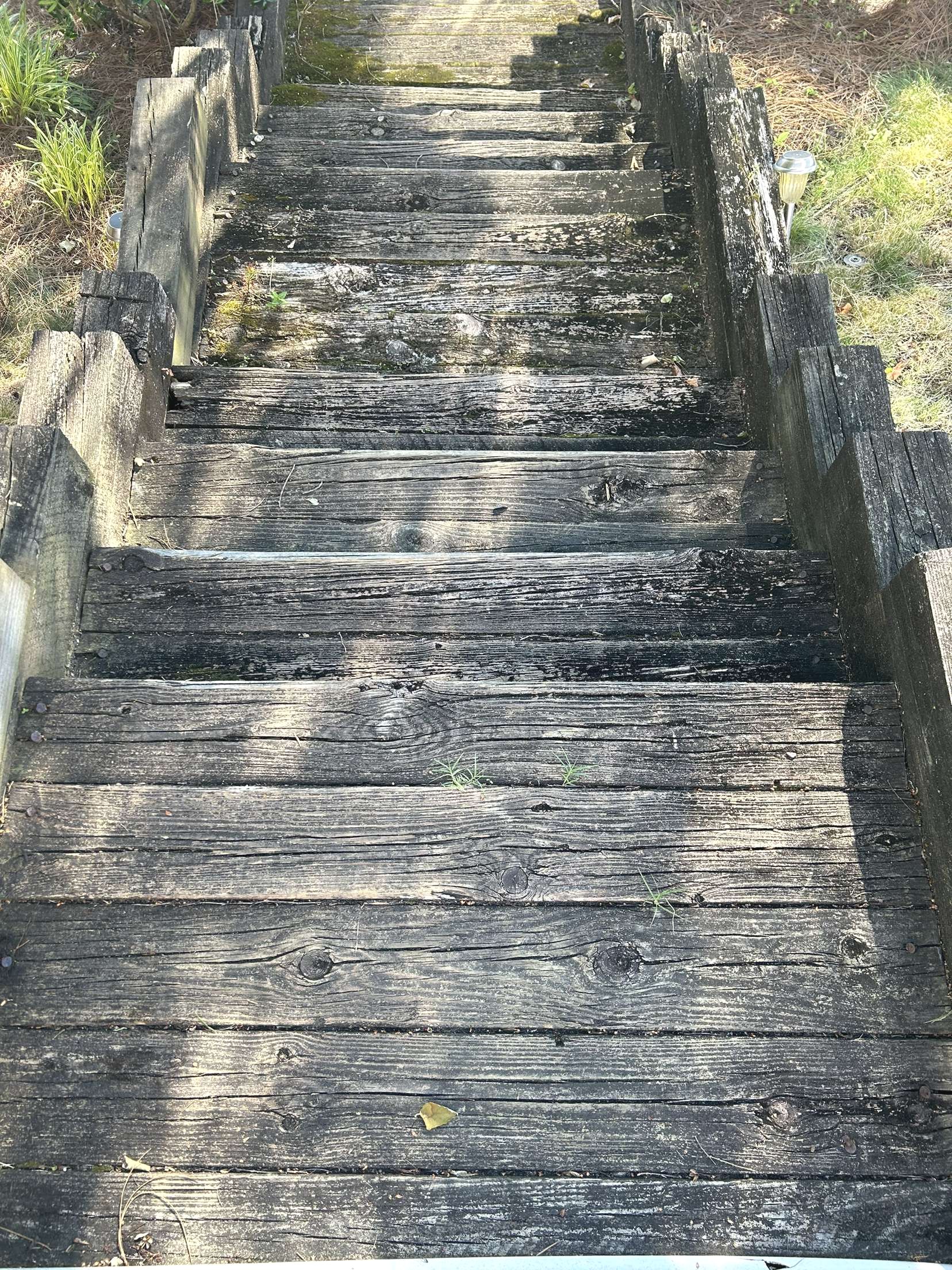 A close up of a set of wooden stairs going up a hill.