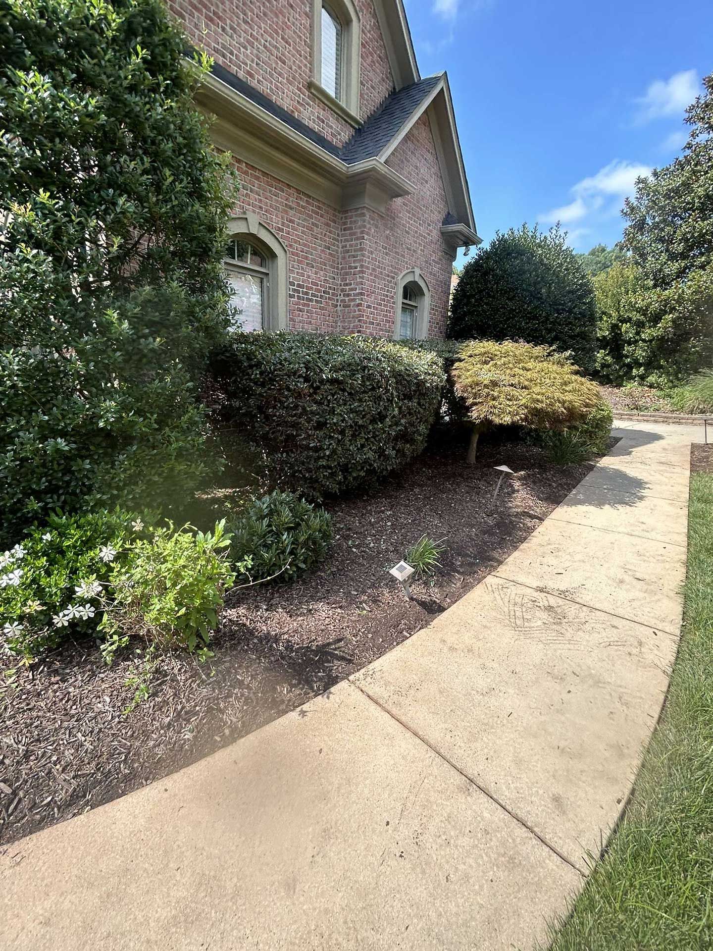 A sidewalk leading to a large brick house surrounded by trees and bushes.