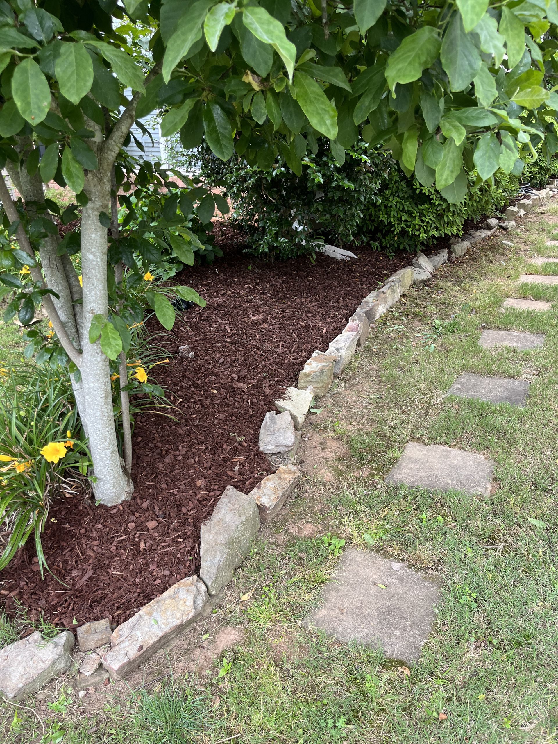 A tree is in the middle of a garden next to a stone walkway.