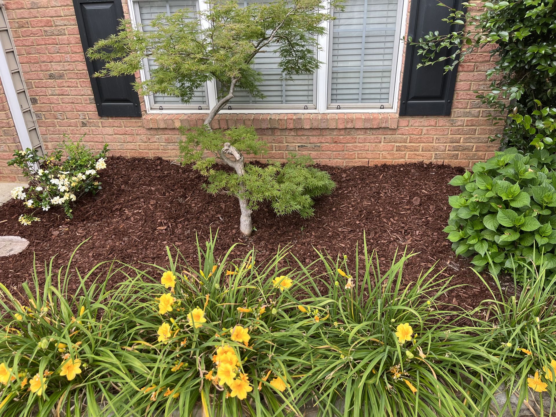 A garden with flowers and a tree in front of a brick house.