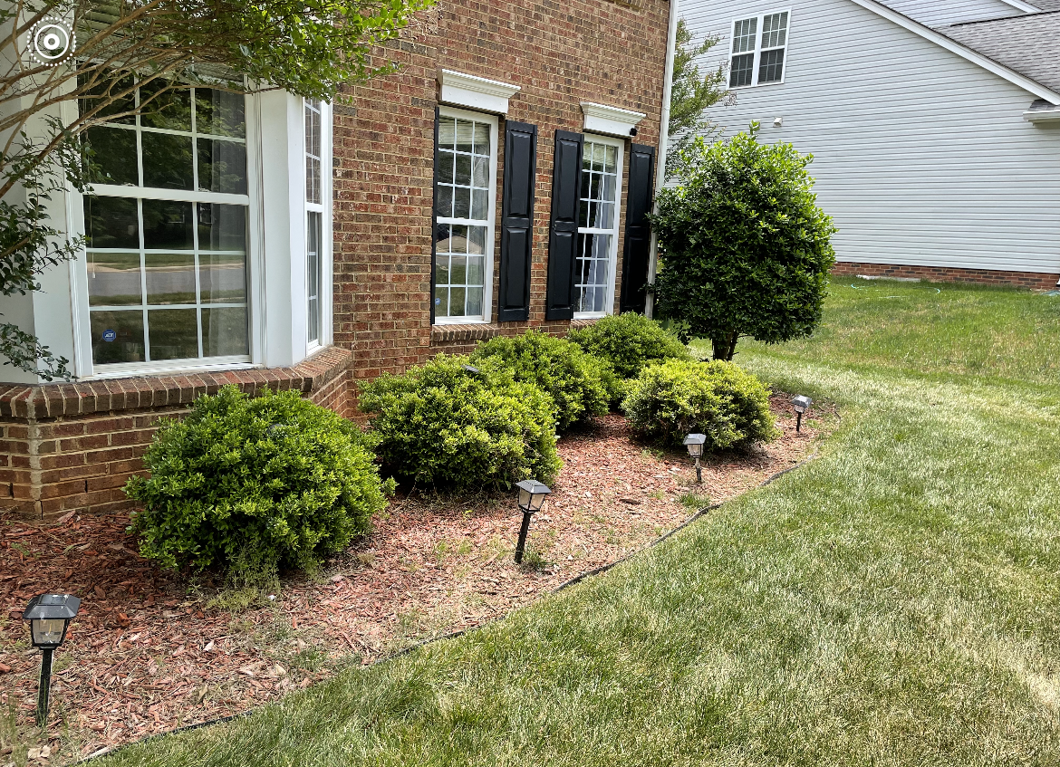 A brick house with black shutters and a lush green lawn in front of it.