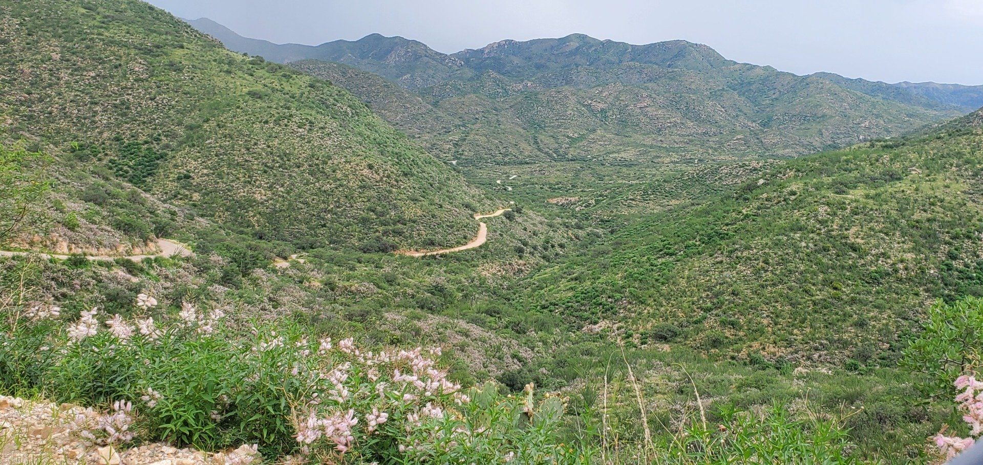 Top view of green and beautiful mountains