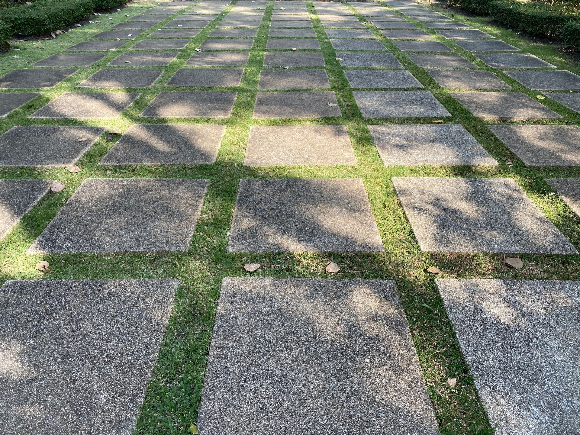 A brick walkway with grass growing between the tiles.