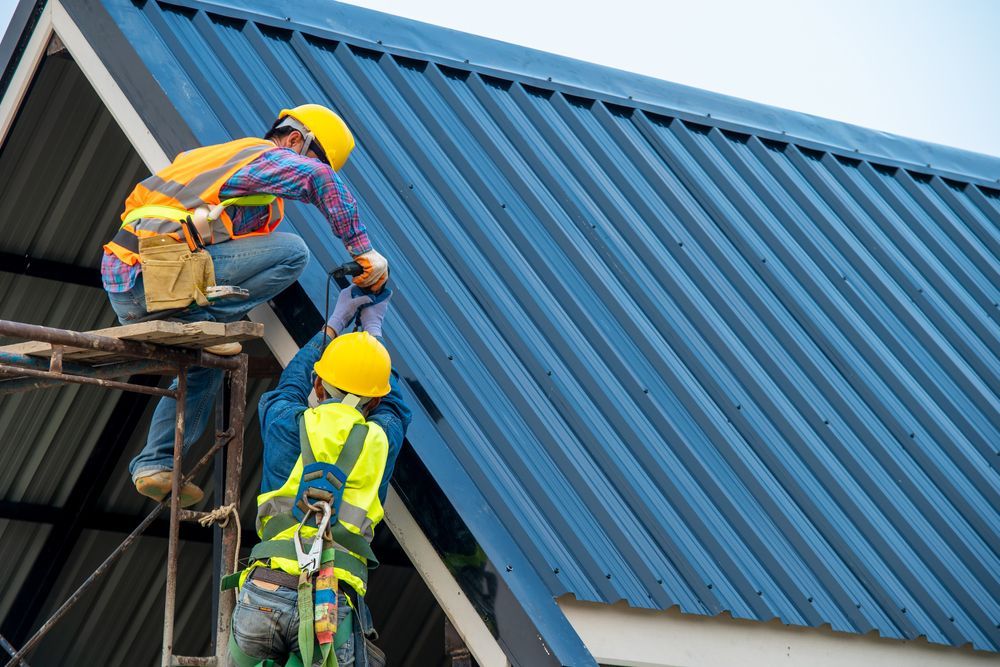 Two Workers in Safety Gear Installing Blue Metal Roof Panels on a Building — Callaway Roofing & Construction in Mudgee, NSW