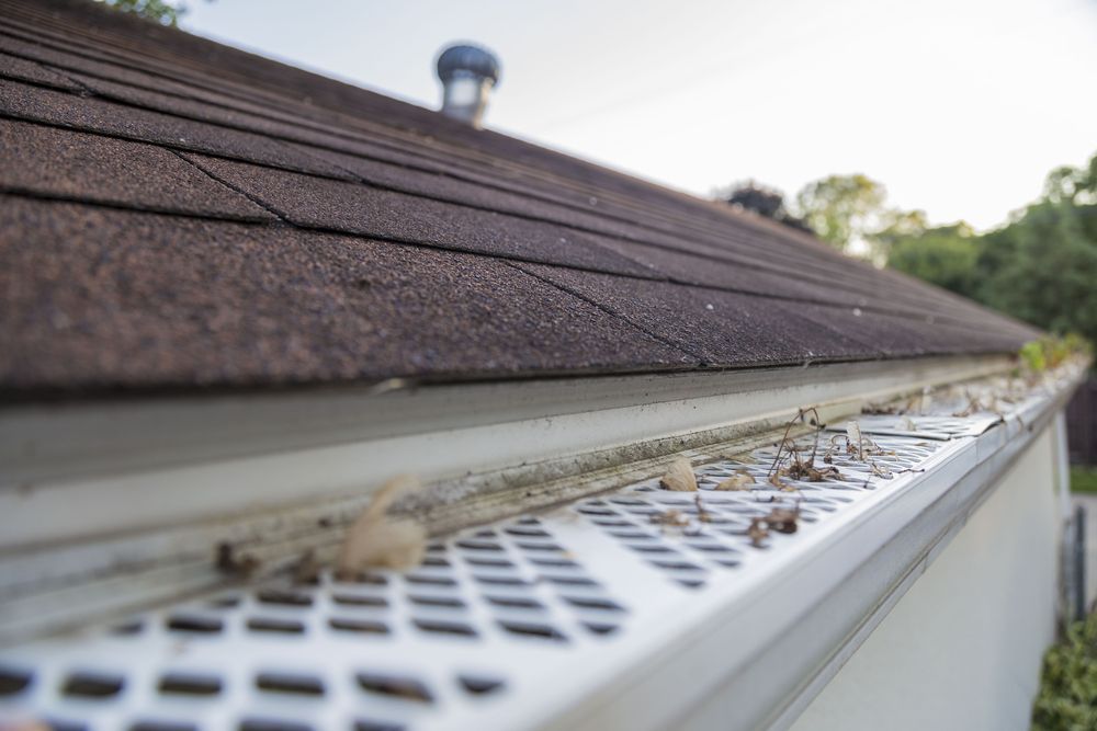 Close-up of a Roof Gutter With Leaves and Debris, With a Brown Roof — Callaway Roofing & Construction in Gunnedah, NSW