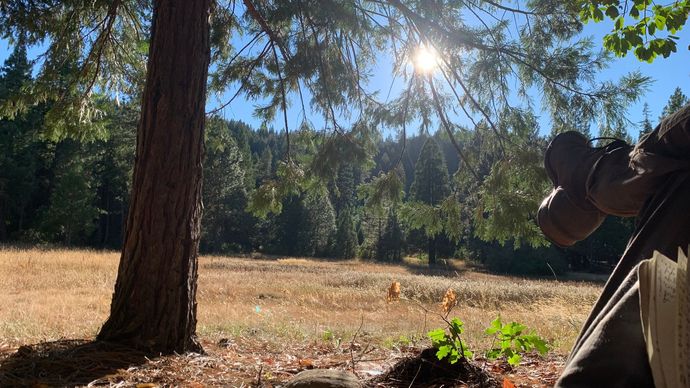 Many wonderful activities to participate in while staying at the Wisdom Retreat Center