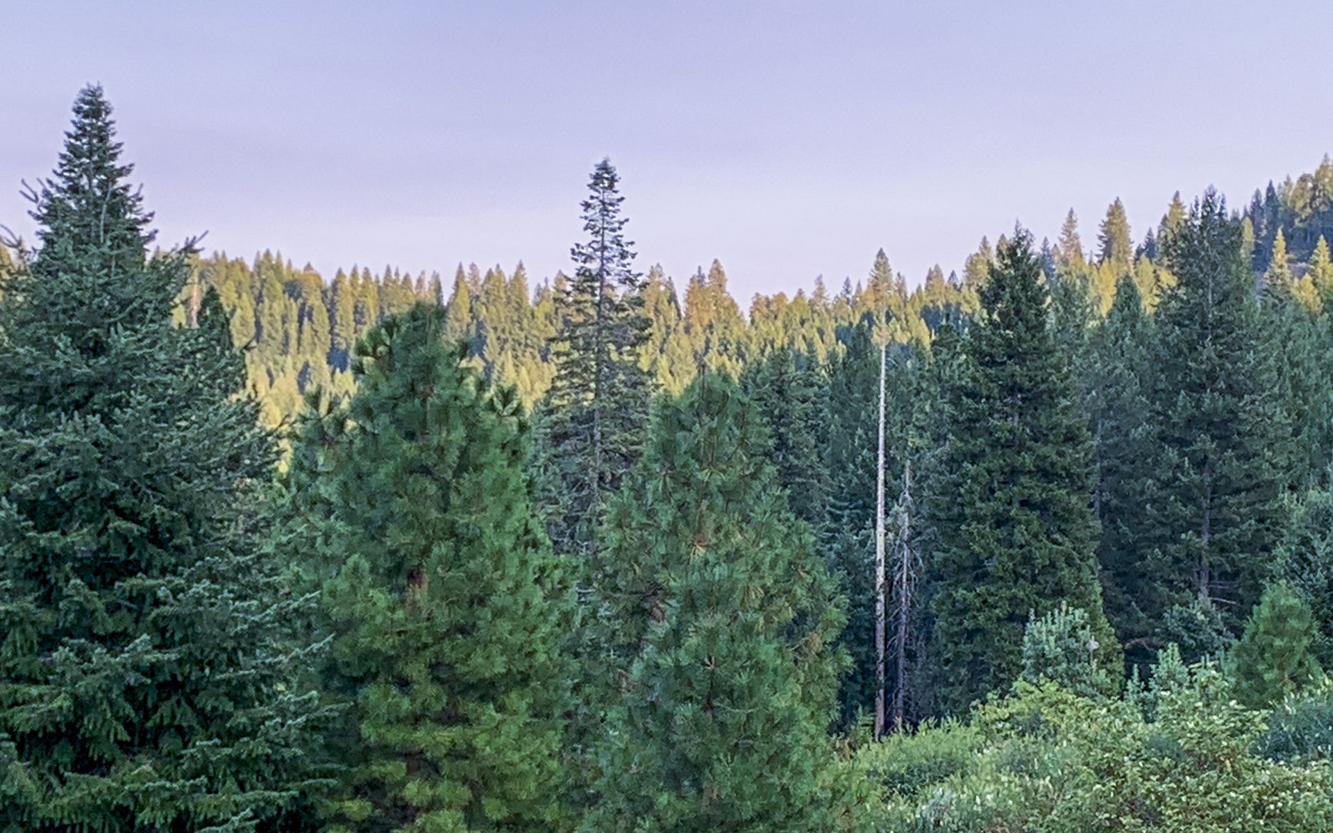 So many vistas to enjoy at the Wisdom Retreat Center