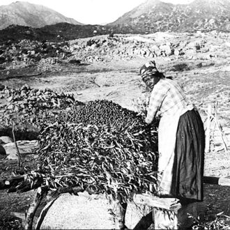 The Maidu / Nisenan People