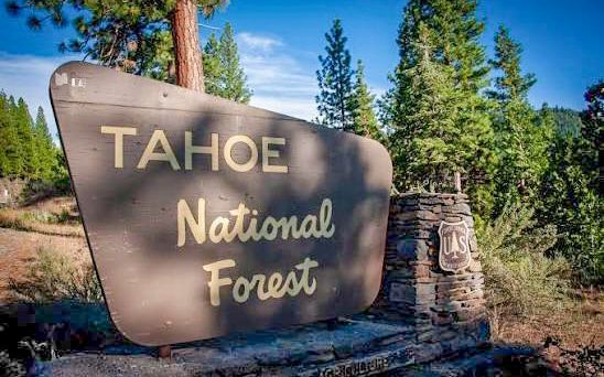 Tahoe National Forest