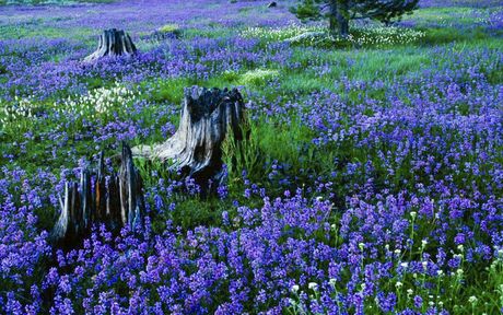 Seasons abound at the Wisdom Retreat Center
