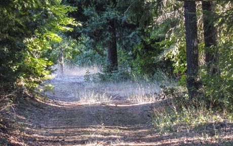 One of the many trails throughout the Wisdom Retreat Center's 200-acre