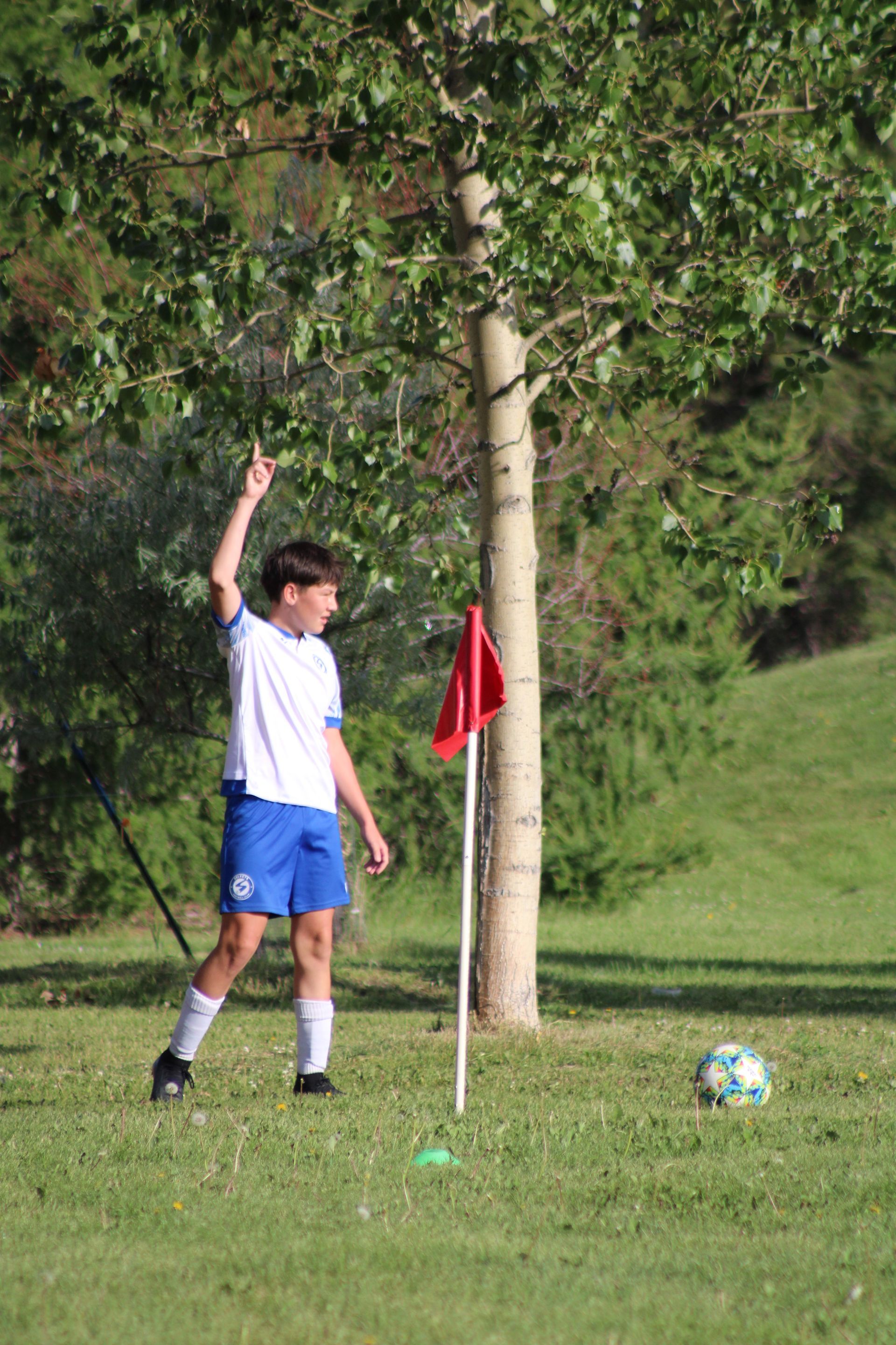 A player in a blue and white uniform signals near a corner flag on a grassy field, with a soccer ball nearby.