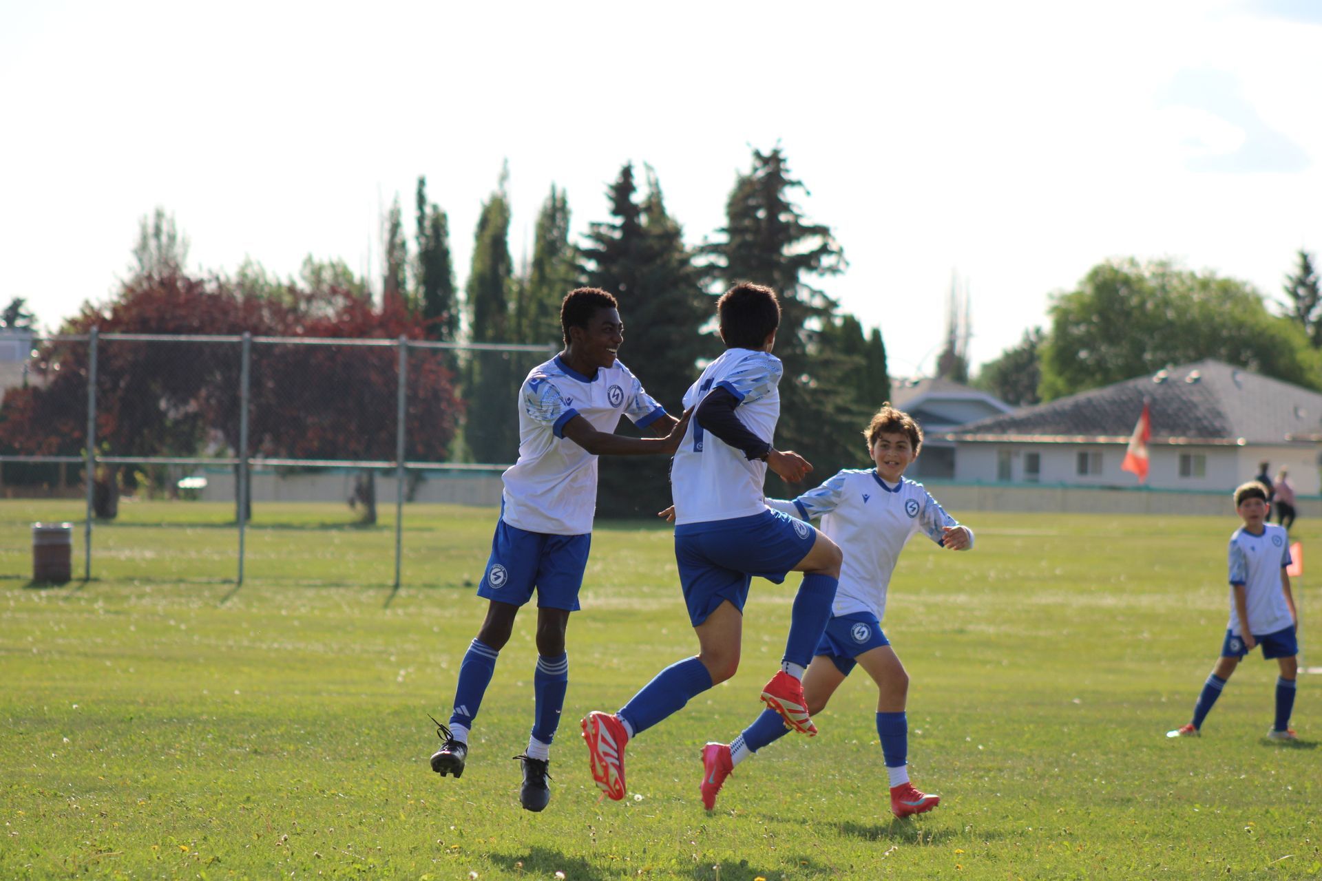 A group of soccer players in white and blue uniforms celebrating a goal on a sunny field.