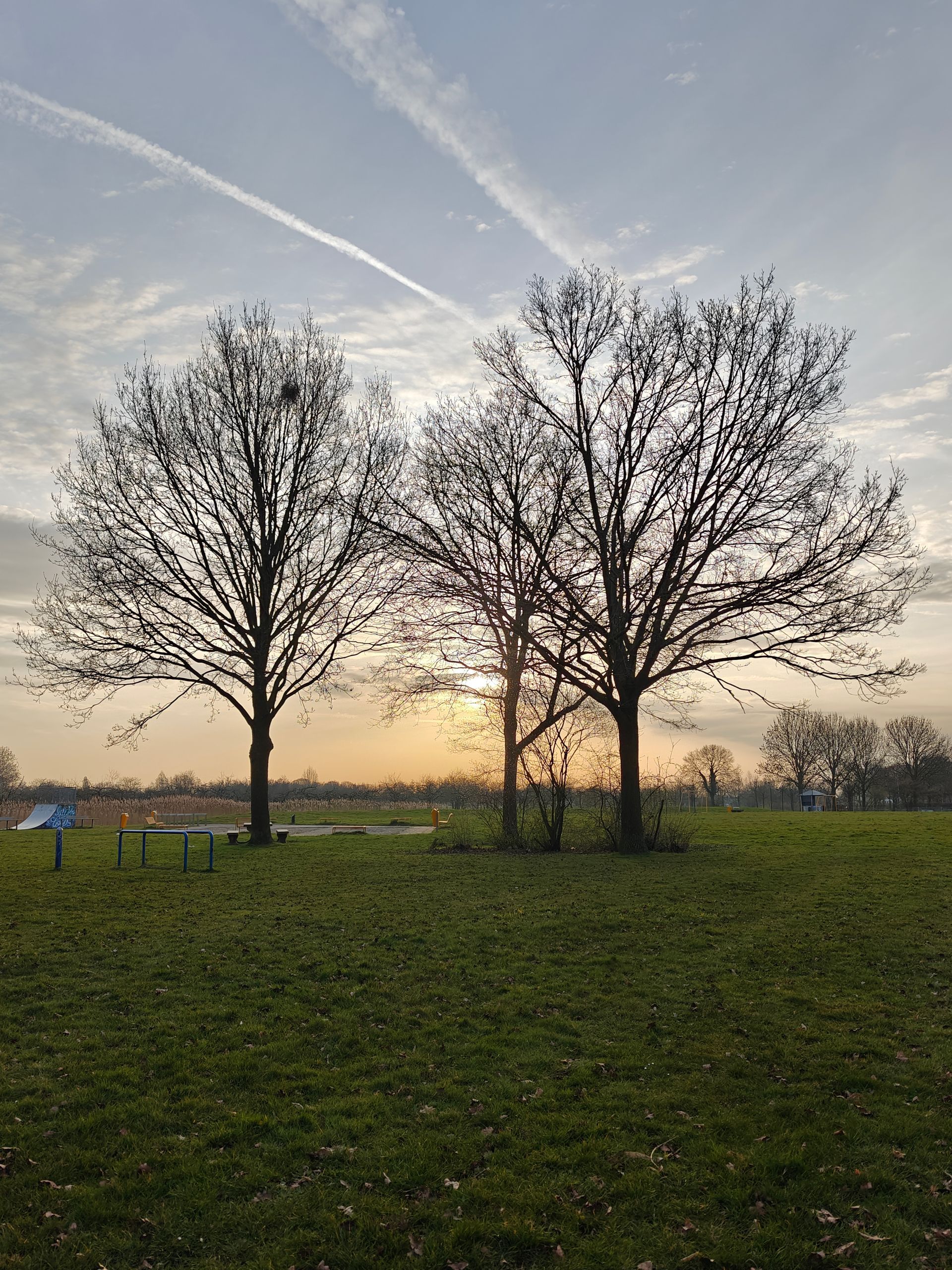 fotoshoot buiten, buiten locatie, tiel, Linge Waal Park, fotoshoot met familie