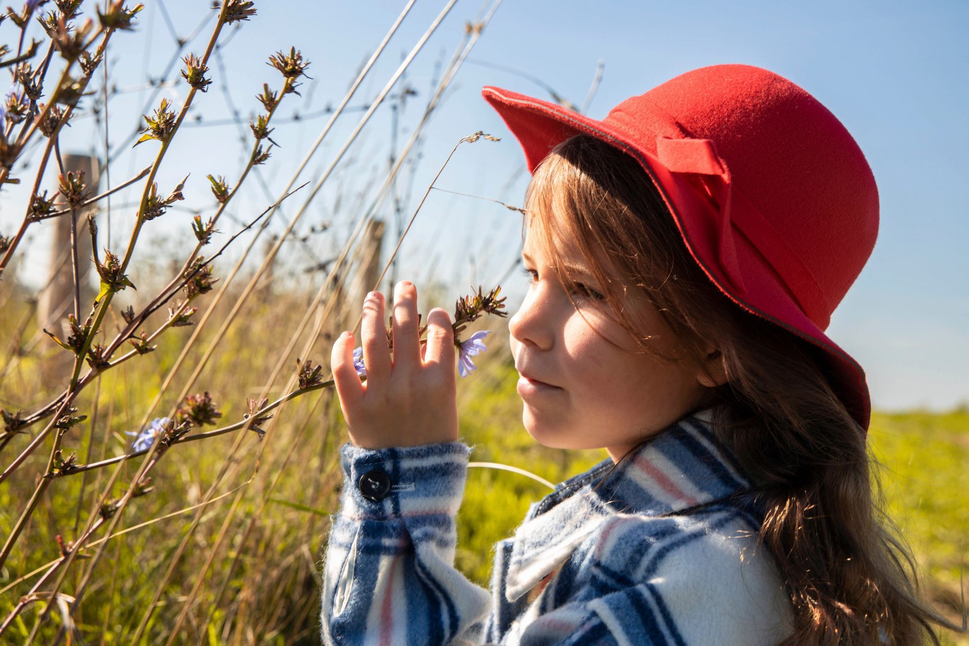 Zomer fotosessie, kinderen, buiten op de foto, zomer foto